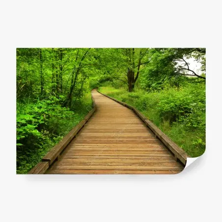 Papier peint sentier en bois verdoyant – Wallnifity®