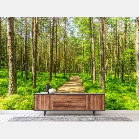 Papier peint chemin en forêt verdoyante – Wallnifity®