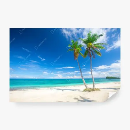 Papier peint plage tropicale aux palmiers – Wallnifity®