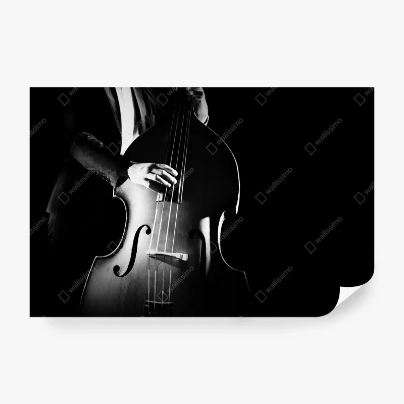 Papier peint silhouette de contrebasse en clair-obscur – Wallnifity®