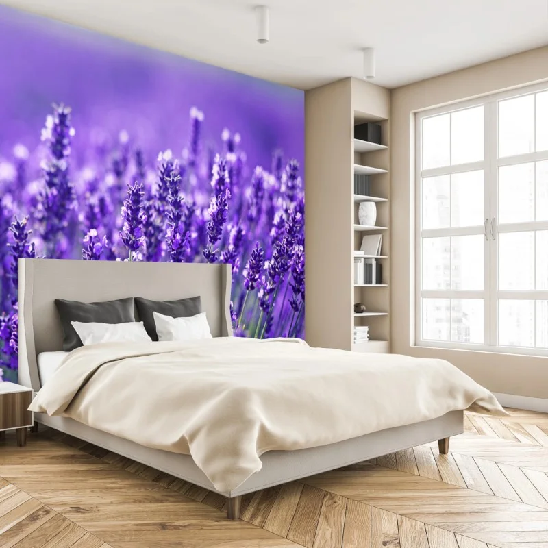 Fleurs et plantes – Wallnifity®