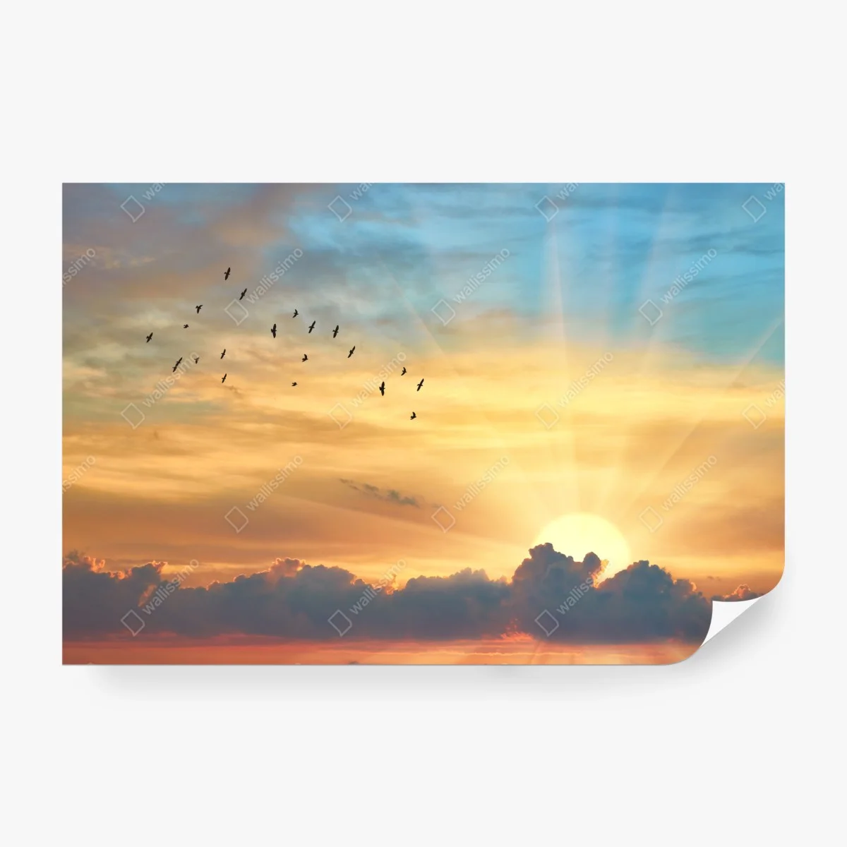 Papier peint aube dorée et envol d'oiseaux – Wallnifity®