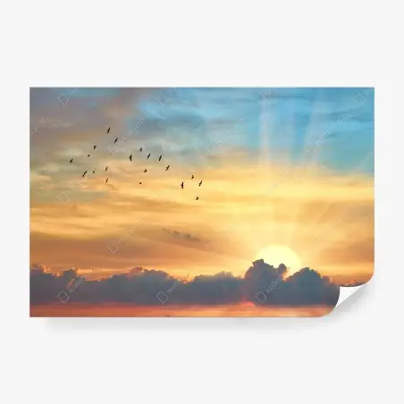 Papier peint aube dorée et envol d'oiseaux – Wallnifity®