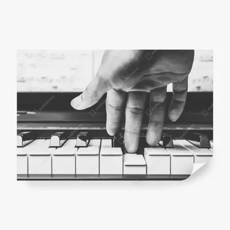 Papier peint main expressive sur clavier de piano en noir et blanc – Wallnifity®