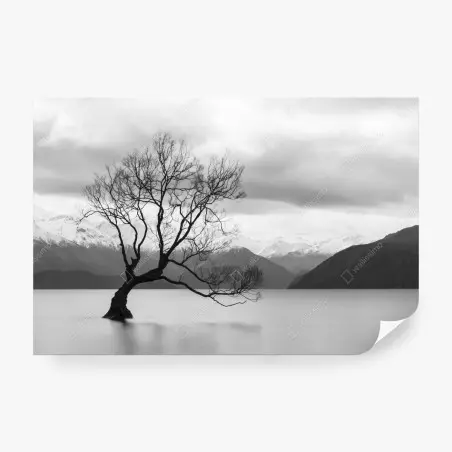 Papier peint arbre solitaire sur lac brumeux – Wallnifity®