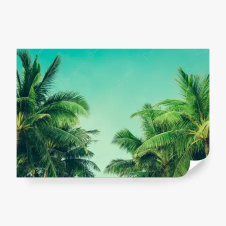 Papier peint palmiers tropicaux sous ciel turquoise – Wallnifity®