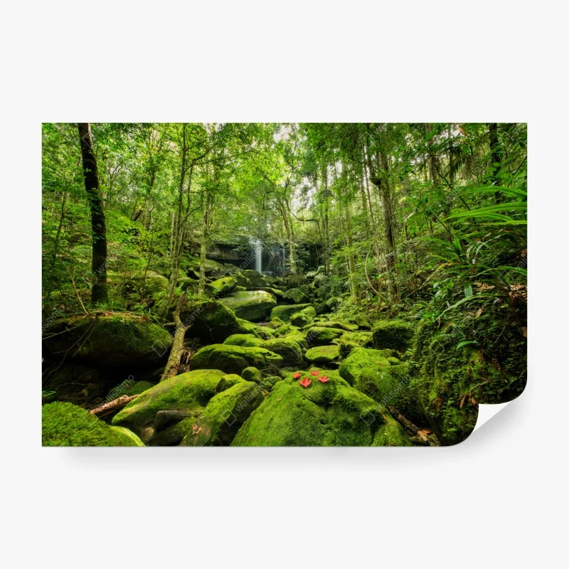 Papier peint cascade et mousse verte dans la forêt tropicale – Wallnifity® Papier peint cascade et mousse verte dans la forêt tropicale – Wallnifity®