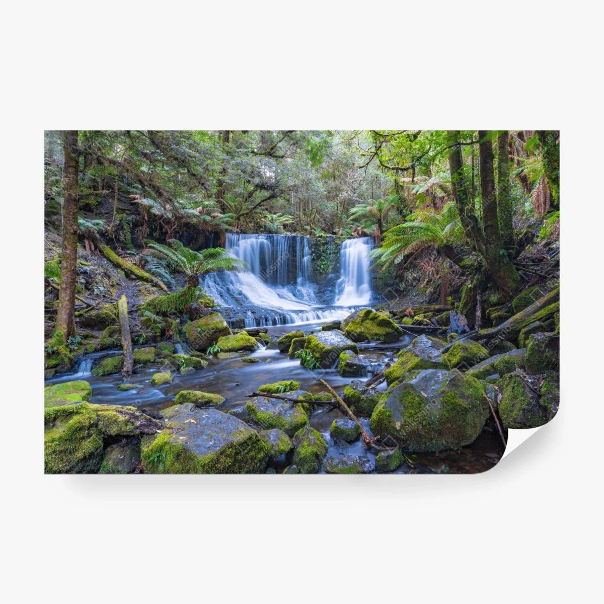 Papier peint cascade sereine au cœur de la forêt – Wallnifity® Papier peint cascade sereine au cœur de la forêt – Wallnifity®