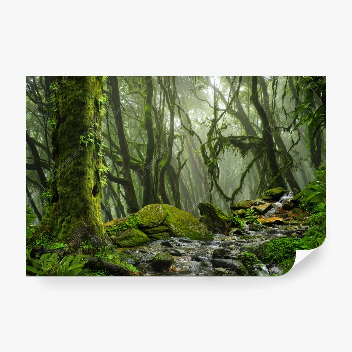 Papier peint ruisseau dans la forêt embrumée – Wallnifity® Papier peint ruisseau dans la forêt embrumée – Wallnifity®