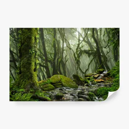 Papier peint ruisseau dans la forêt embrumée – Wallnifity®