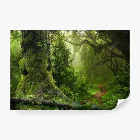 Papier peint forêt enchantée au lever de brume – Wallnifity®