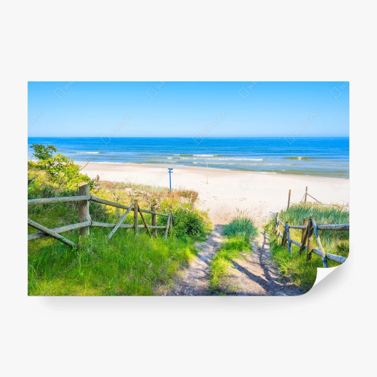 Papier peint chemin vers la plage de sable blanc, Mer Baltique, Pologne – Wallnifity® Papier peint chemin vers la plage de sable blanc, Mer Baltique, Pologne – Wallnifity®