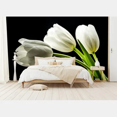 Papier peint tulipes blanches élégantes sur fond noir – Wallnifity®