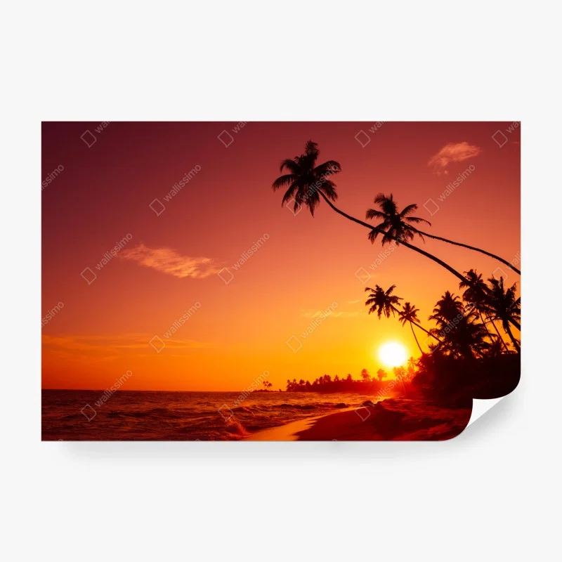 Papier peint coucher de soleil tropical sur une plage paradisiaque – Wallnifity® Papier peint coucher de soleil tropical sur une plage paradisiaque – Wallnifity®