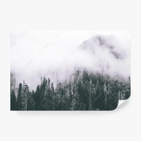 Papier peint forêt brumeuse en noir et blanc – Wallnifity®