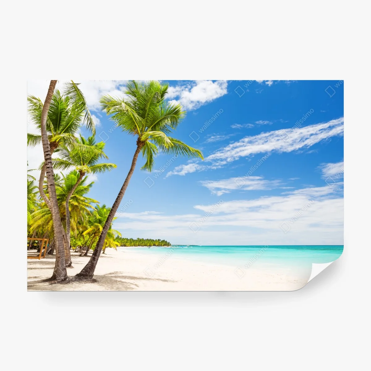 Papier peint oasis de palmiers à Punta Cana – Wallnifity® Papier peint oasis de palmiers à Punta Cana – Wallnifity®