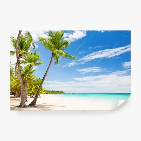 Papier peint oasis de palmiers à Punta Cana – Wallnifity®