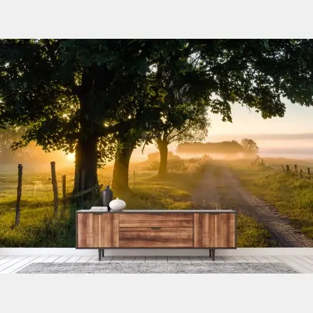 Papier peint aube dorée sur le chemin de campagne – Wallnifity®