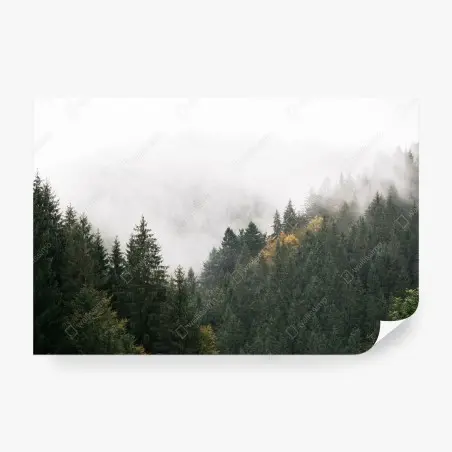 Papier peint forêt de montagne embrumée – Wallnifity®
