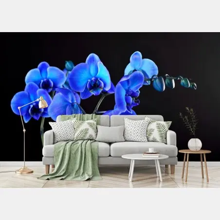 Papier peint orchidée bleue sur fond noir, élégance florale – Wallnifity®