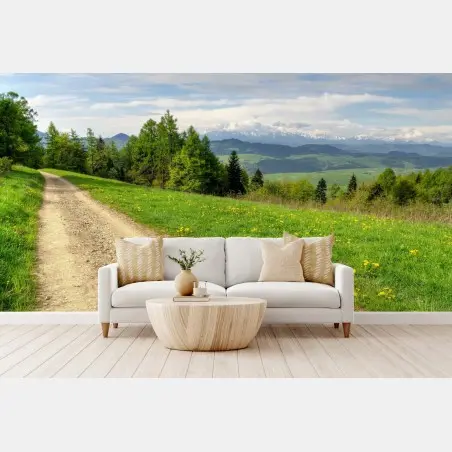 Papier peint chemin de gravier printanier, Gorce, Pologne – Wallnifity®
