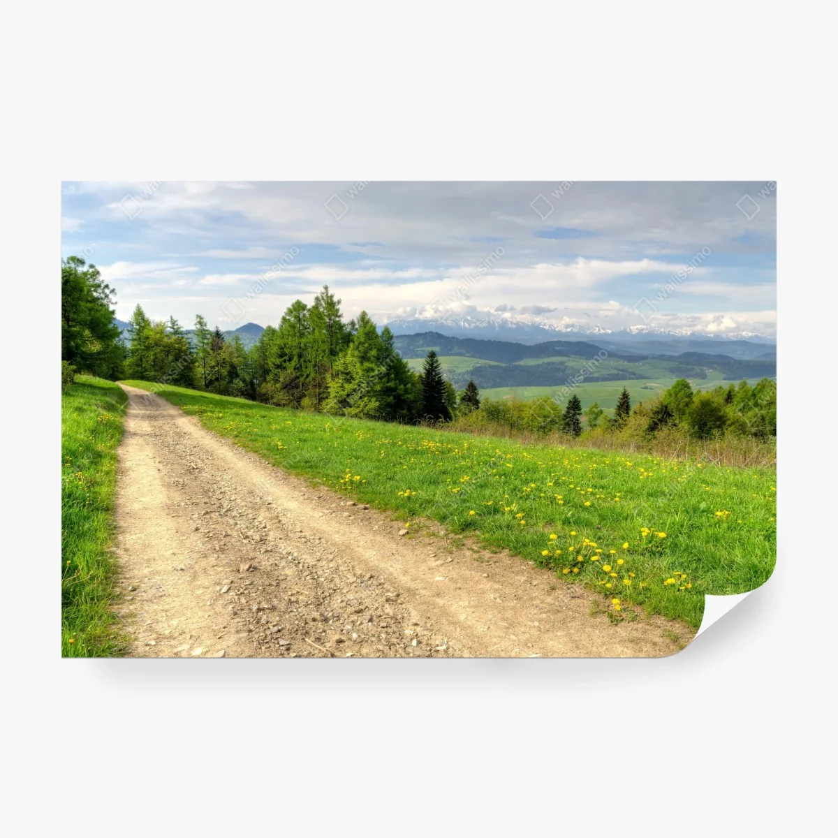 Papier peint chemin de gravier printanier, Gorce, Pologne – Wallnifity®