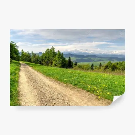 Papier peint chemin de gravier printanier, Gorce, Pologne – Wallnifity®