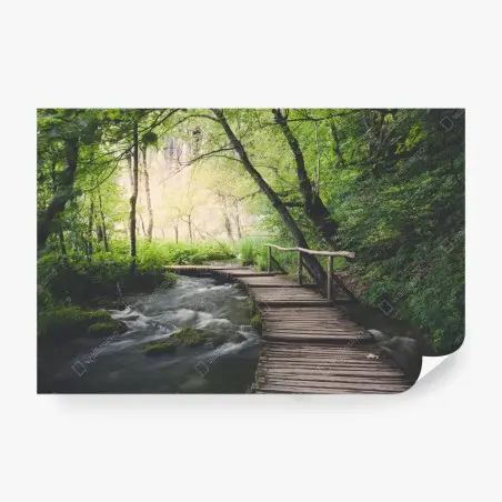 Papier peint passerelle en bois au cœur de la forêt – Wallnifity®