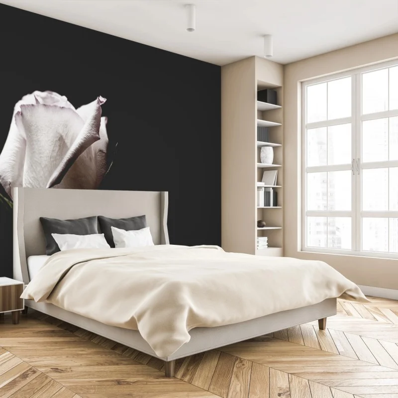 Fleurs et plantes – Wallnifity®