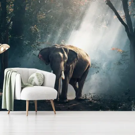 Papier peint éléphant majestueux dans la forêt brumeuse – Wallnifity®