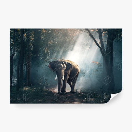 Papier peint éléphant majestueux dans la forêt brumeuse – Wallnifity®