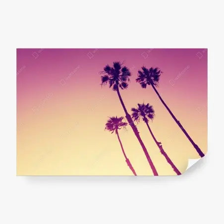 Papier peint palmiers au crépuscule à Sunset Cliffs, San Diego – Wallnifity®