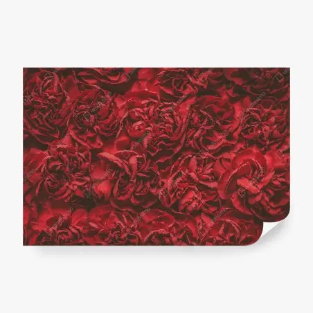 Papier peint œillets rouges rétro pour décoration intérieure – Wallnifity®