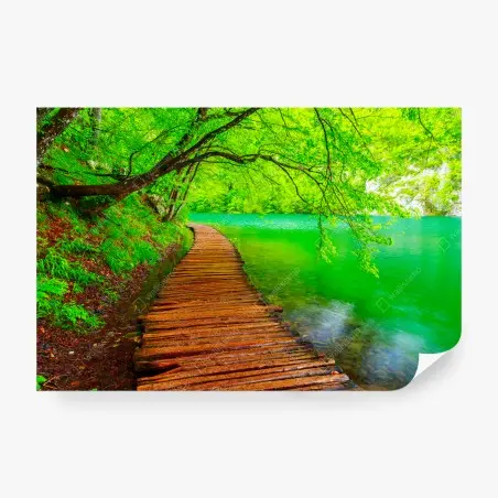 Papier peint chemin en bois au bord d'un lac émeraude – Wallnifity®