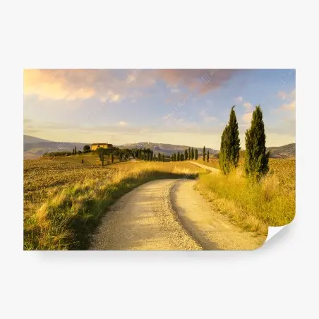 Papier peint chemin de campagne en Toscane au coucher du soleil – Wallnifity®