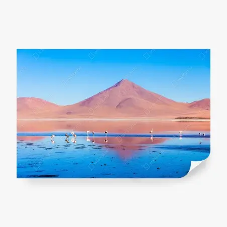 Papier peint flamants roses et reflets de Laguna Colorada – Wallnifity®