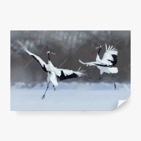 Papier peint danse hivernale des grues à couronne rouge de Hokkaido – Wallnifity®