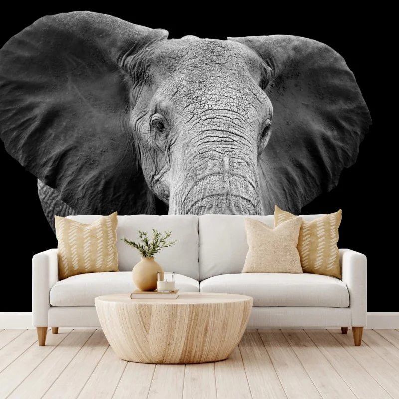 Animaux sauvages – Wallnifity®