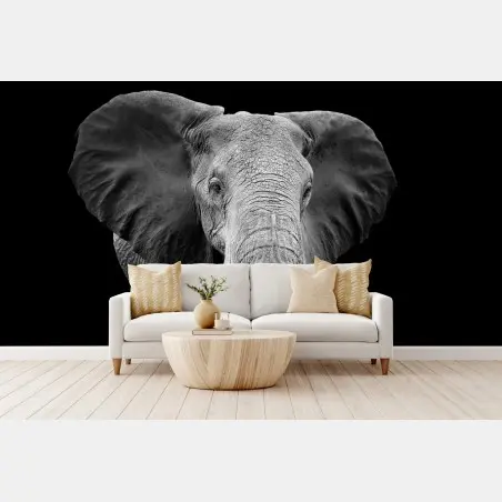 Papier peint portrait d'éléphant en noir et blanc – Wallnifity®