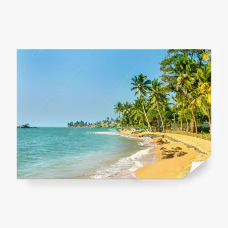 Papier peint côte tropicale sous les palmiers – Wallnifity®