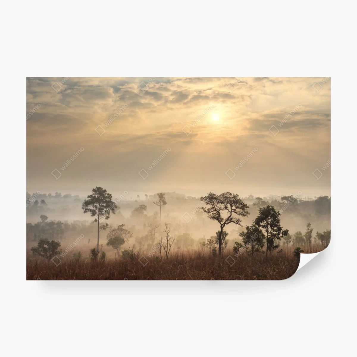 Papier peint brume dorée sur la savane de Thaïlande – Wallnifity®