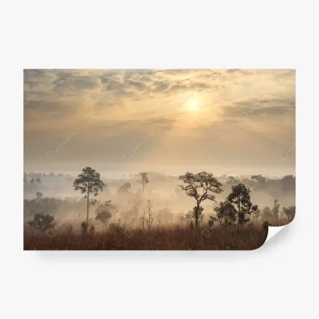 Papier peint brume dorée sur la savane de Thaïlande – Wallnifity®