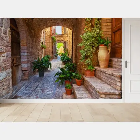 Papier peint ruelle de Spello aux pots de plantes – Wallnifity®