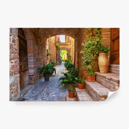 Papier peint ruelle de Spello aux pots de plantes – Wallnifity®