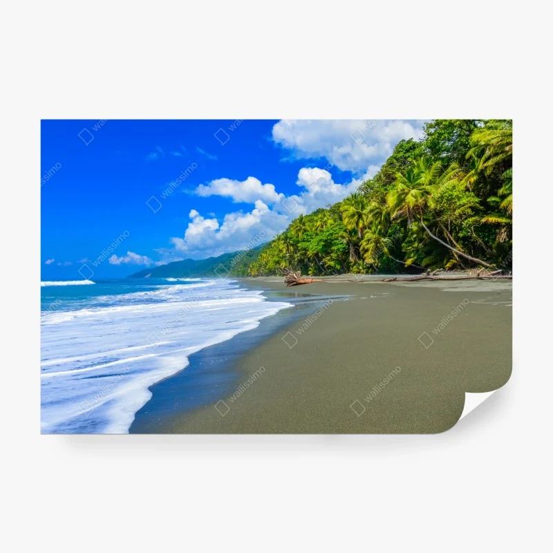 Papier peint plage sauvage de Corcovado, Costa Rica – Wallnifity® Papier peint plage sauvage de Corcovado, Costa Rica – Wallnifity®