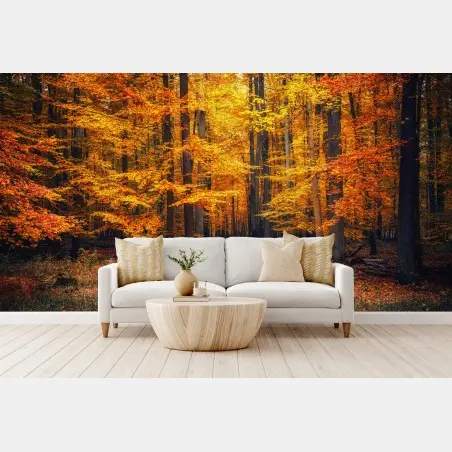 Papier peint forêt d'automne en lumière dorée – Wallnifity®