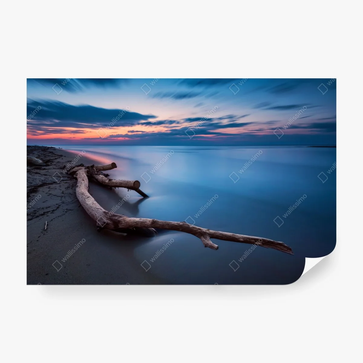 Papier peint bois flotté au crépuscule – Wallnifity® Papier peint bois flotté au crépuscule – Wallnifity®