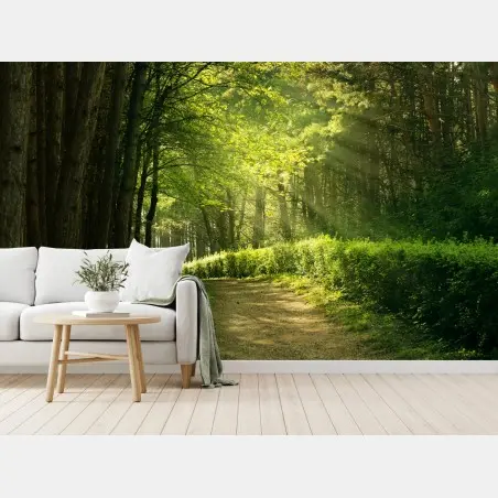 Papier peint sentier en forêt baigné de lumière – Wallnifity®