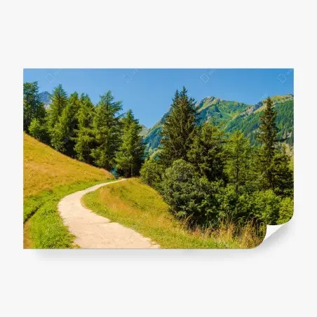 Papier peint sentier estival dans les Alpes suisses – Wallnifity®