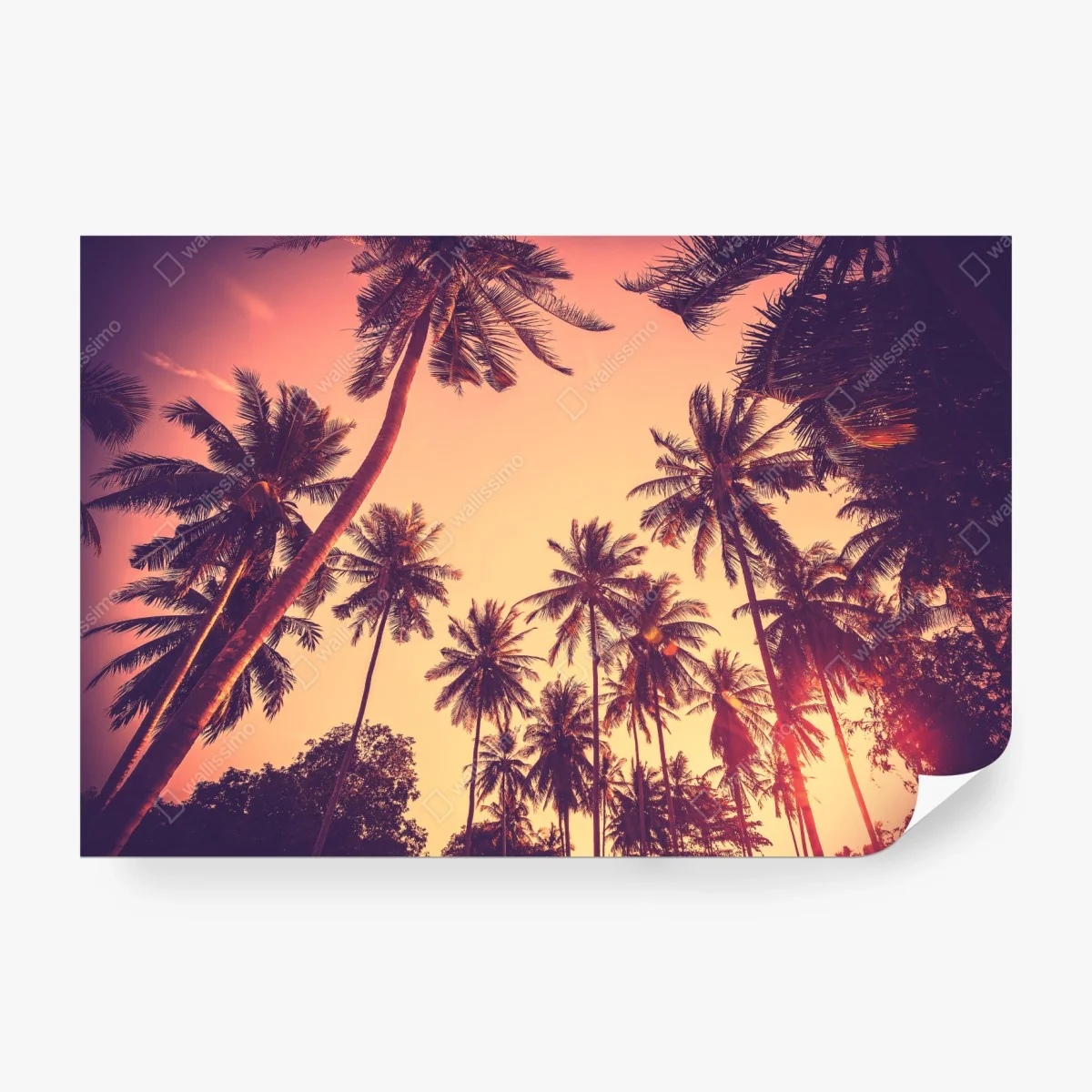 Papier peint crépuscule tropical vintage – Wallnifity®